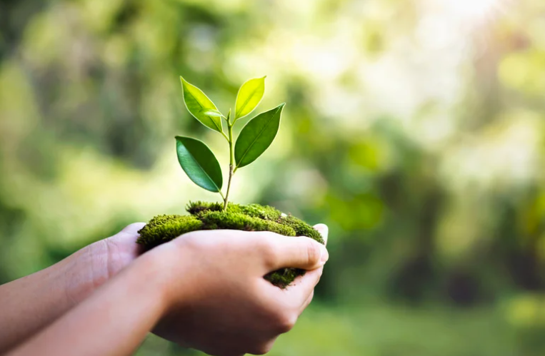 Quiz de la journée de la terre Google