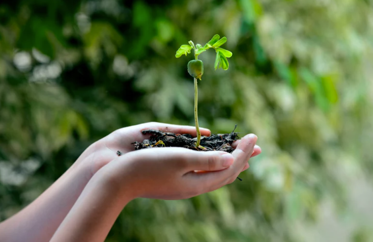 Quiz de la journée de la terre Google