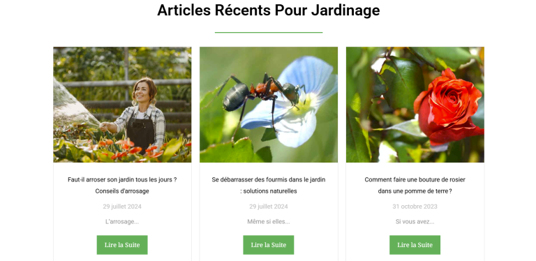 Librojardin blog déco