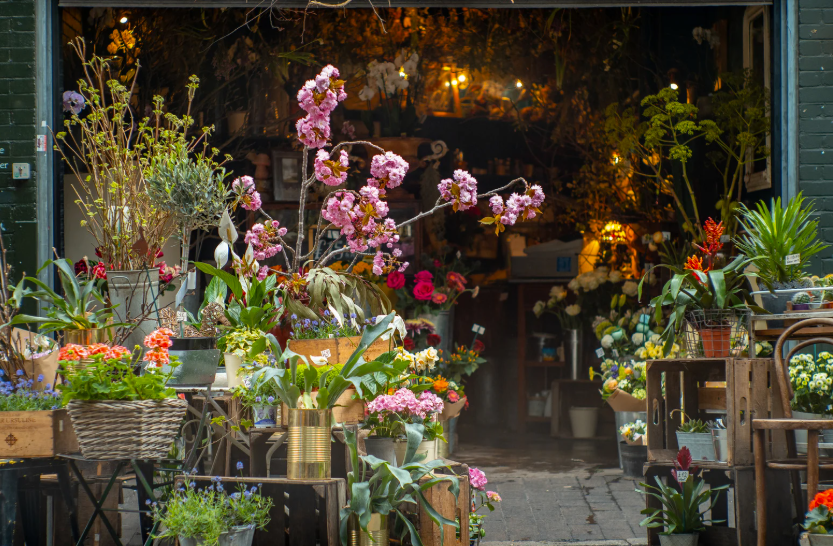 Roza à Chennevières-sur-Marne